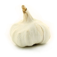 Weißer Knoblauch - Naturoscience