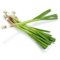 Grüner Knoblauch - Naturoscience