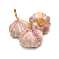 Rosa Knoblauch - Naturoscience